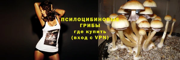 бутират Богданович