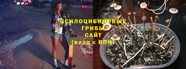 MDMA Богородск